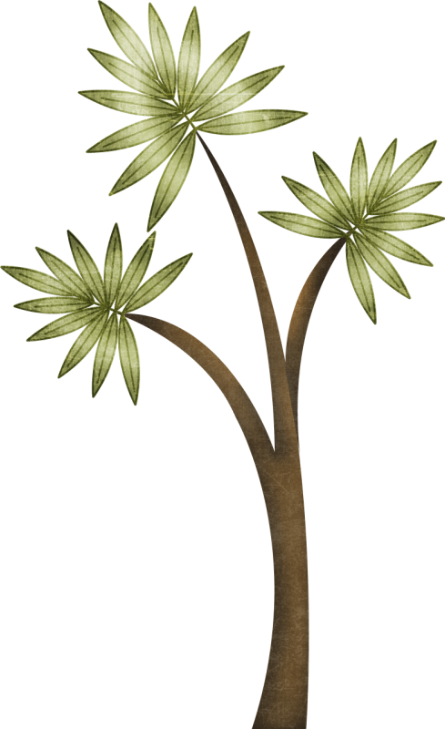 fern clipart prehistoric plant