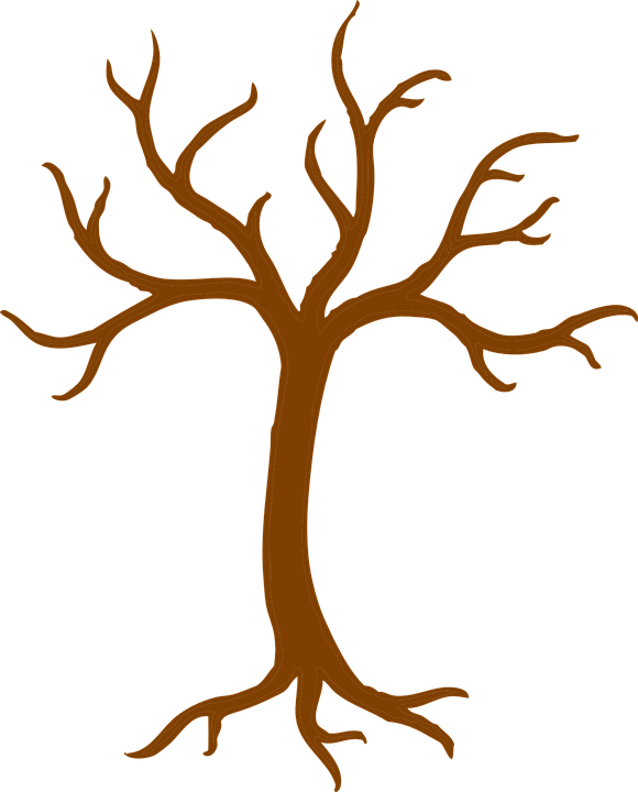 Clipart trees outline. Black tree shop of