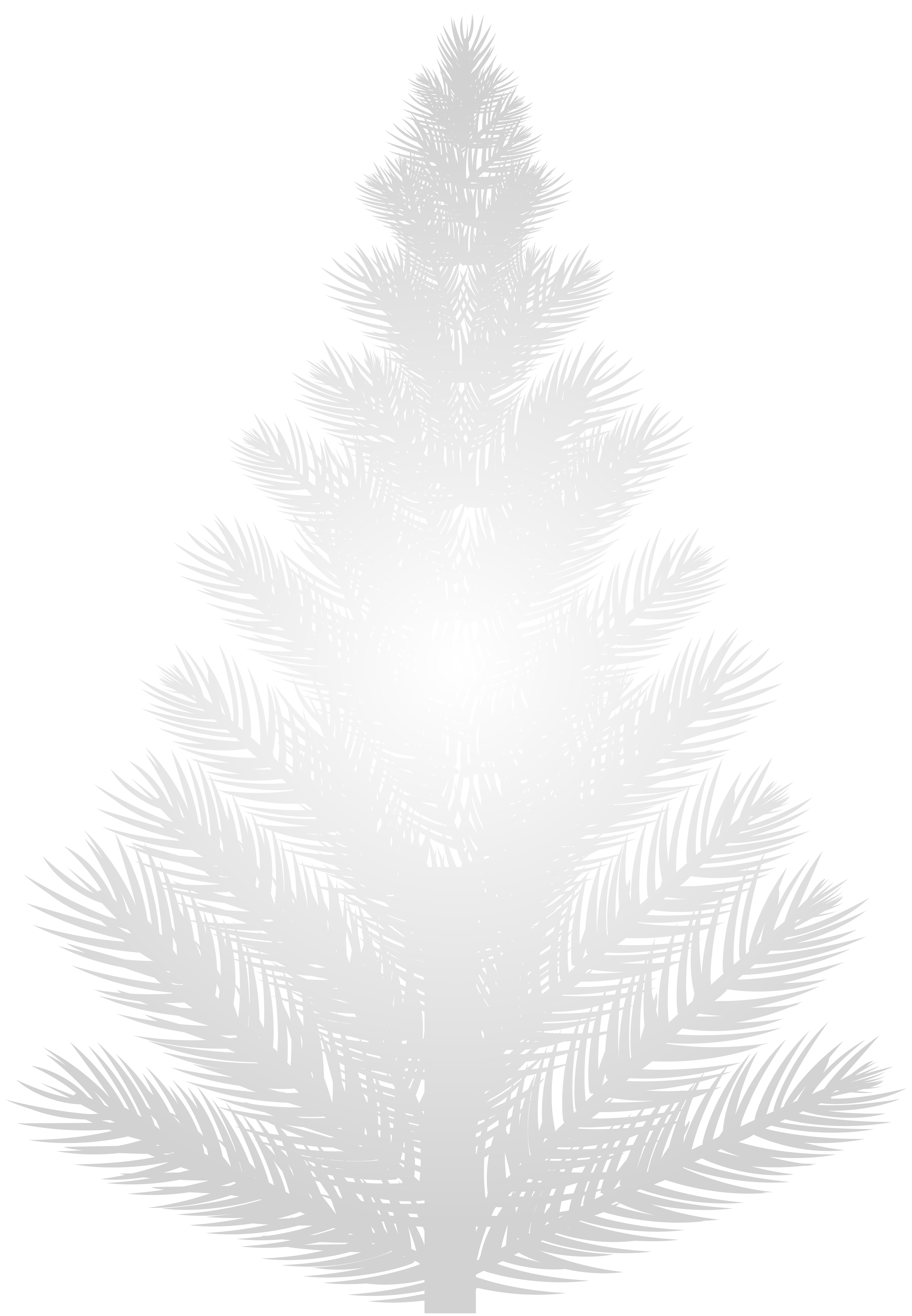 clipart trees pine