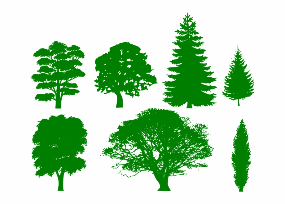 Columnar tree green transparent. Clipart trees shape