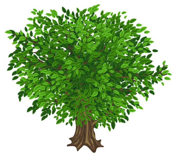 tree clipart water