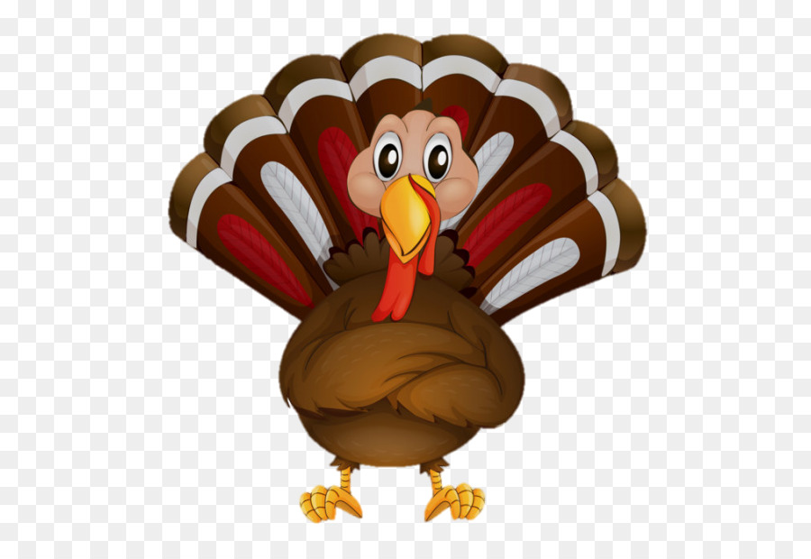 clipart turkey illustration