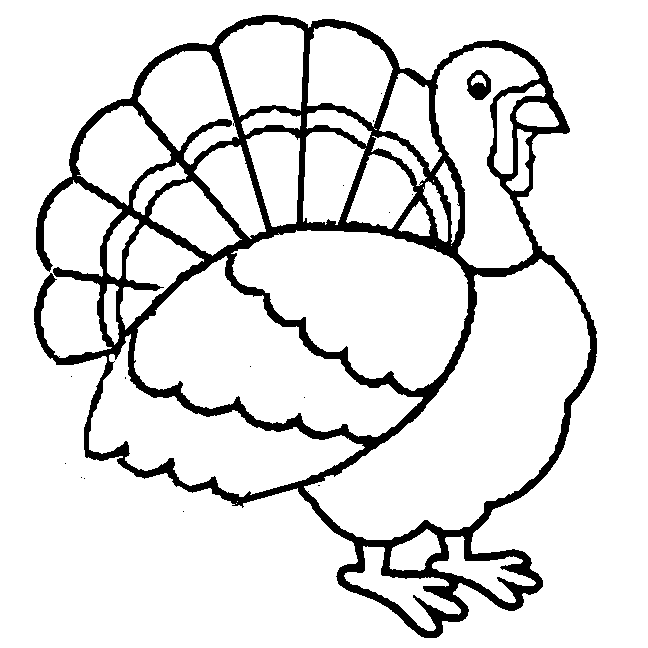 Walrus clipart coloring page. Simple turkey drawing at