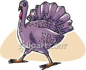 A royalty free picture. Clipart turkey purple