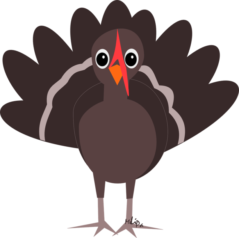 Deer clipart turkey. Free images photos download
