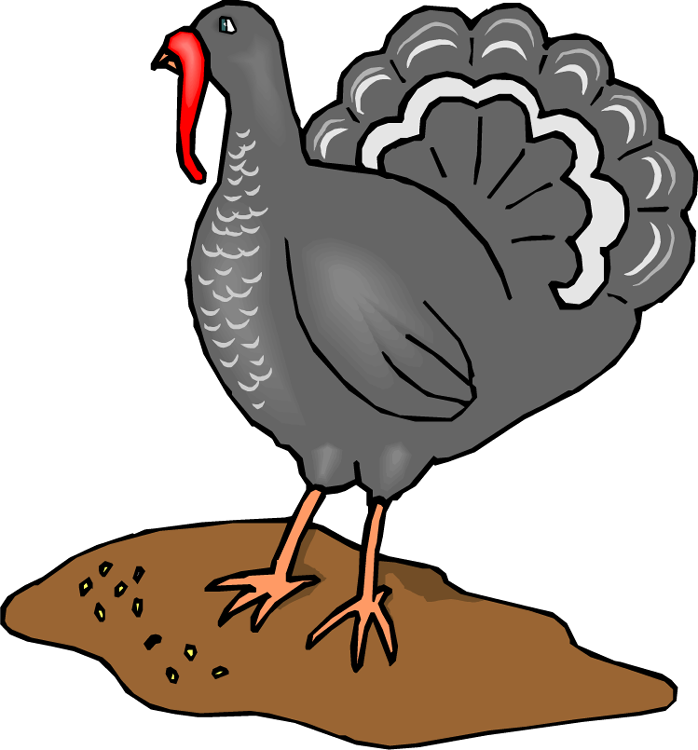 Clipart turkey sign. Free