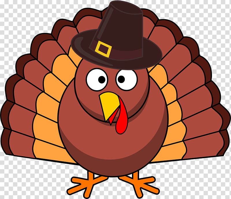 Black pilgrim thanksgiving . Clipart turkey transparent background