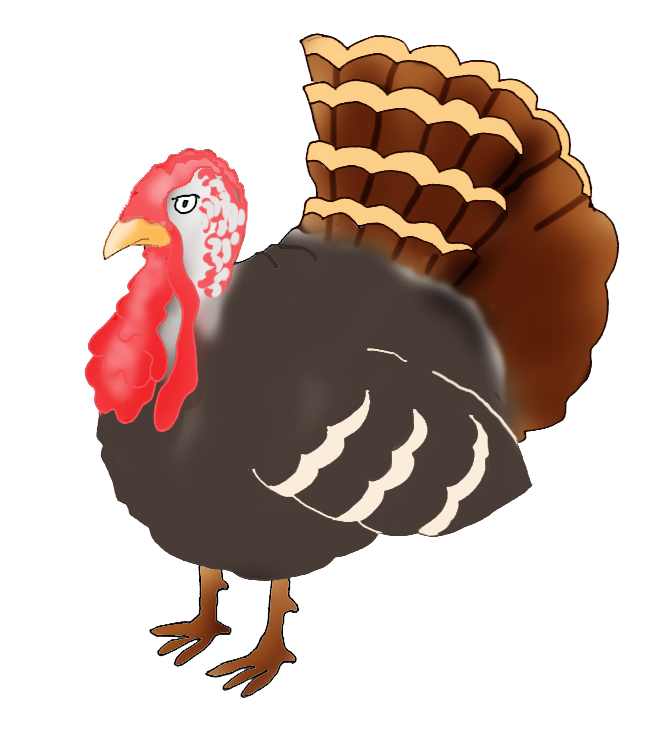 feathers clipart turkey tail