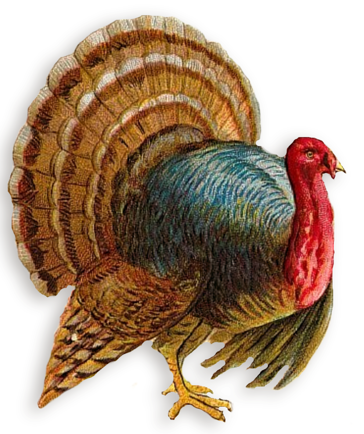 clipart turkey vintage