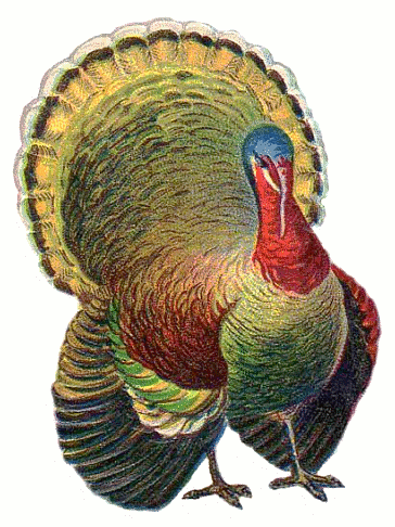 clipart turkey vintage