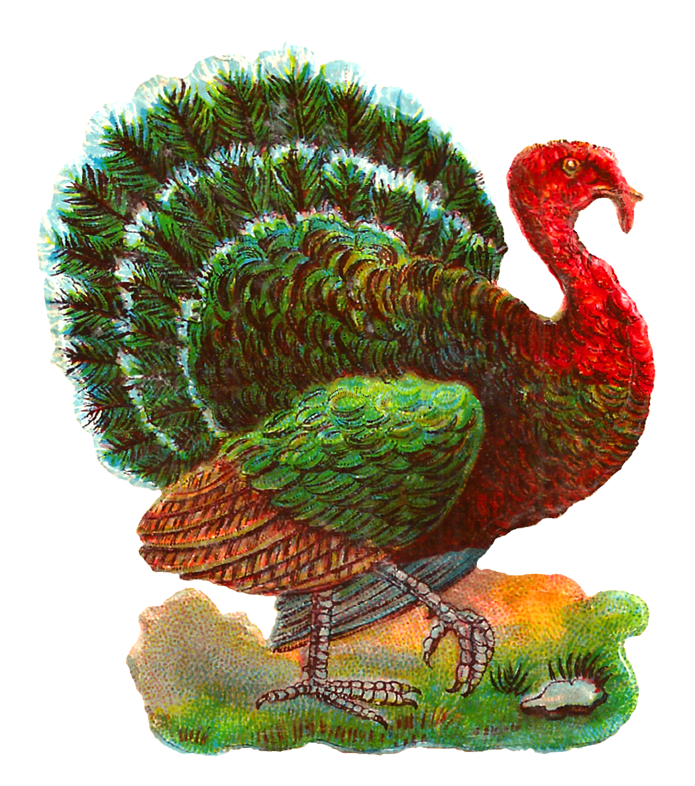 feather clipart turkey tail