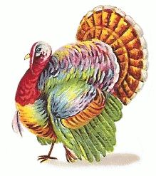 turkeys clipart watercolor