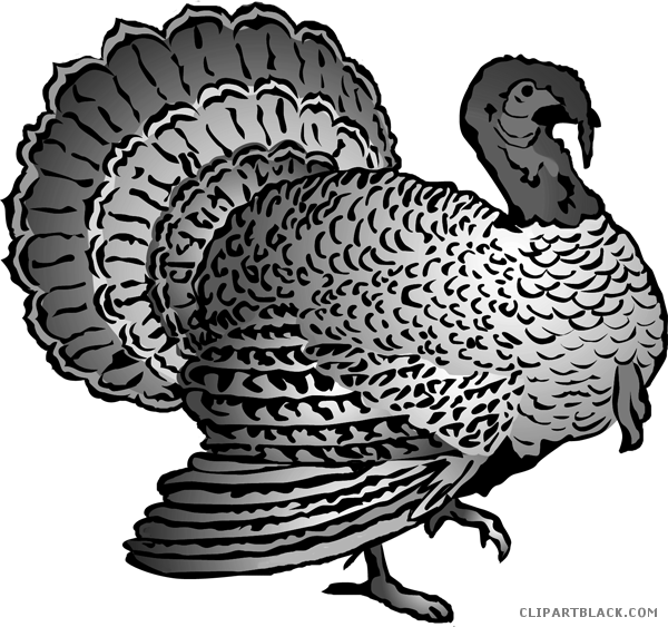 turkeys clipart black and white