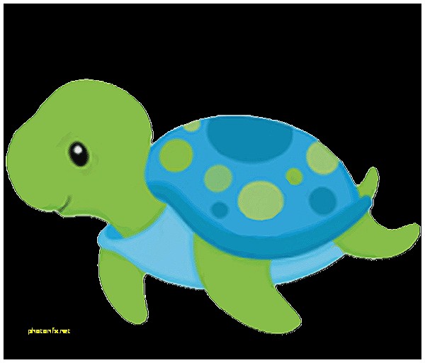 clipart turtle baby shower