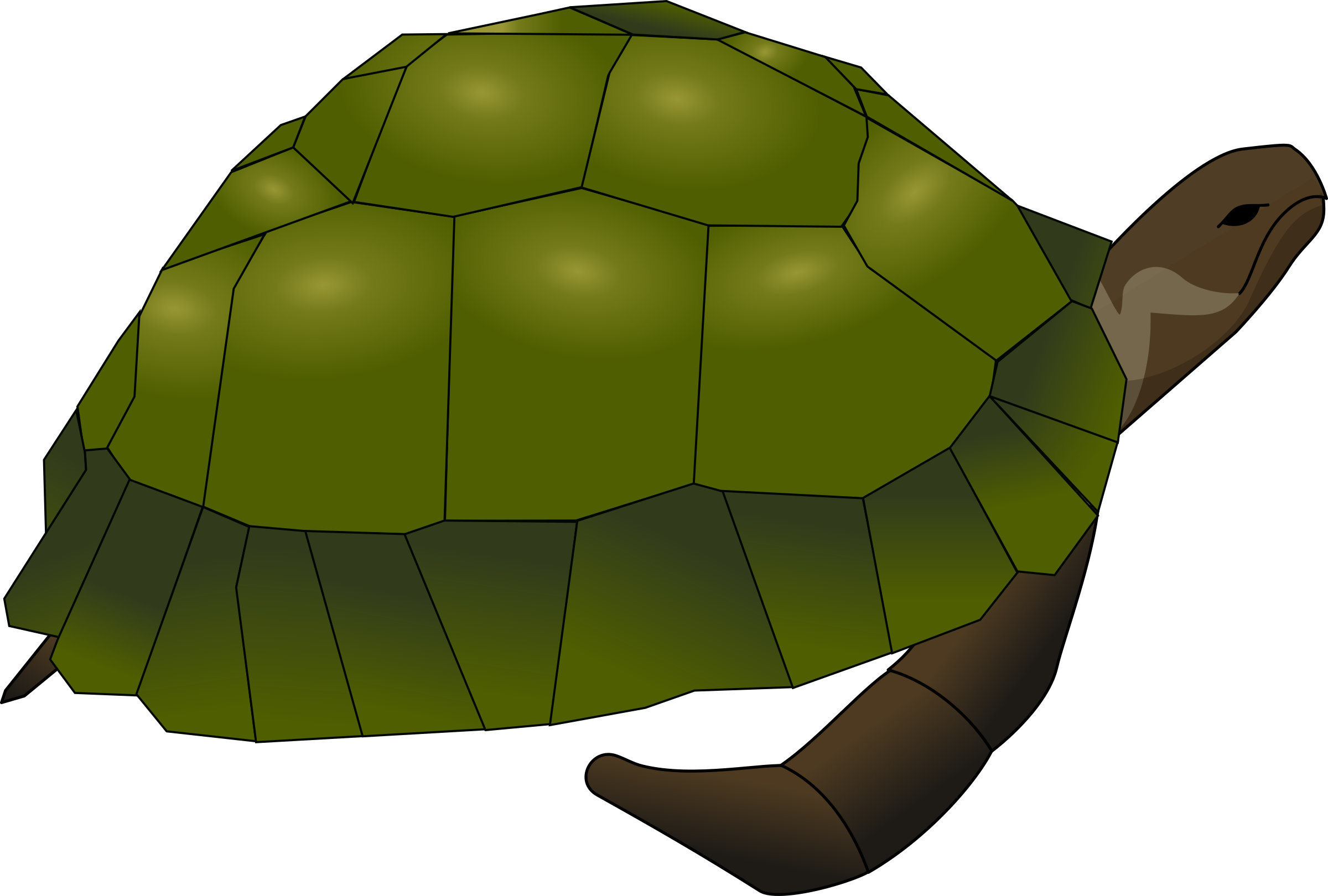 clipart turtle basic