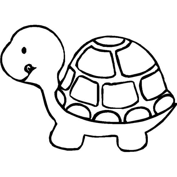 Clipart turtle black and white. Free download clip art