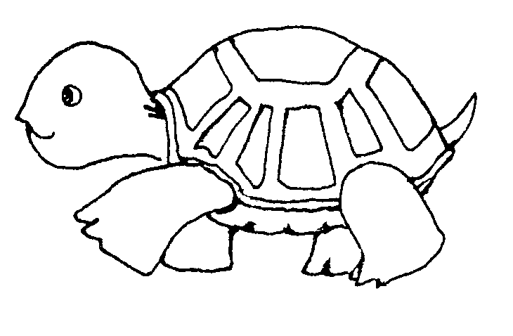 clipart turtle black and white