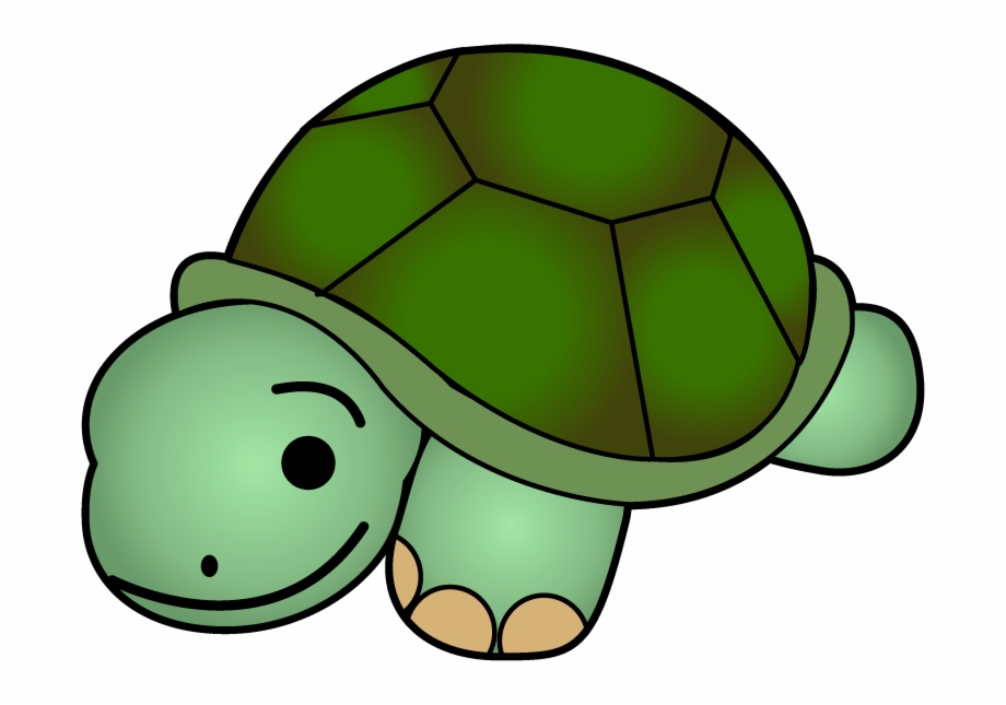 clipart-turtle-clip-art-clipart-turtle-clip-art-transparent-free-for
