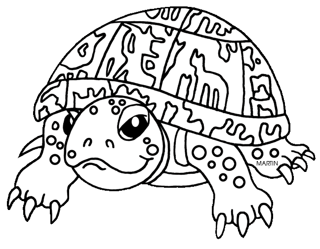 United states clip art. Clipart turtle coloring