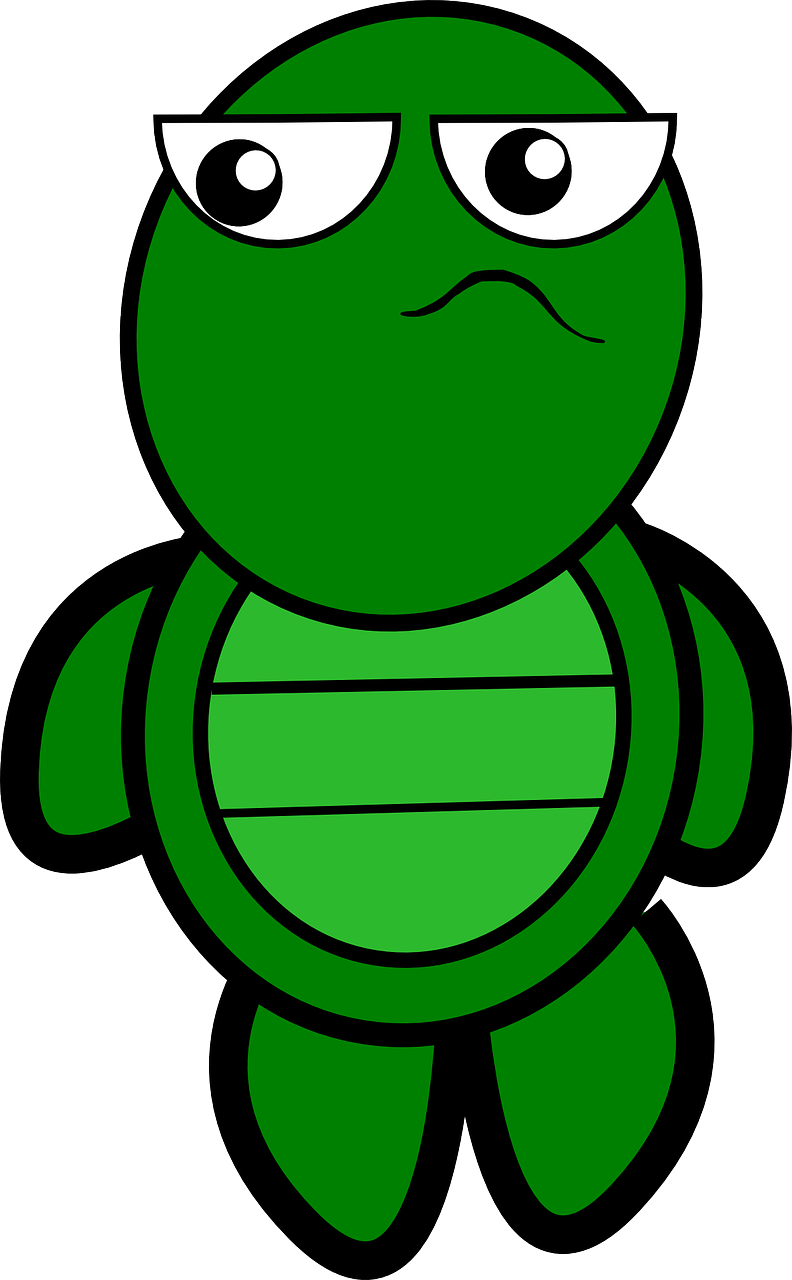clipart turtle easy