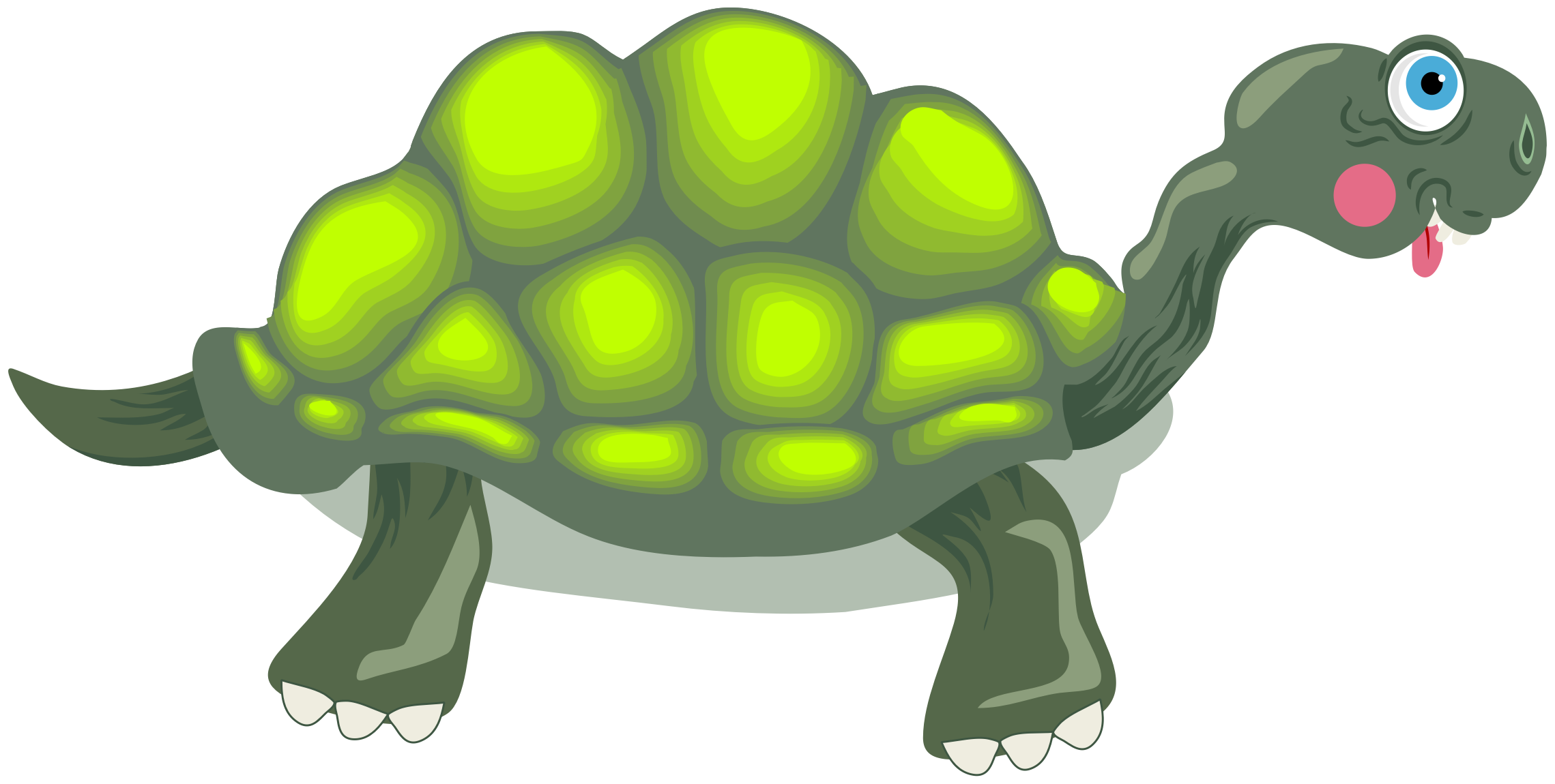 clipart turtle gopher tortoise