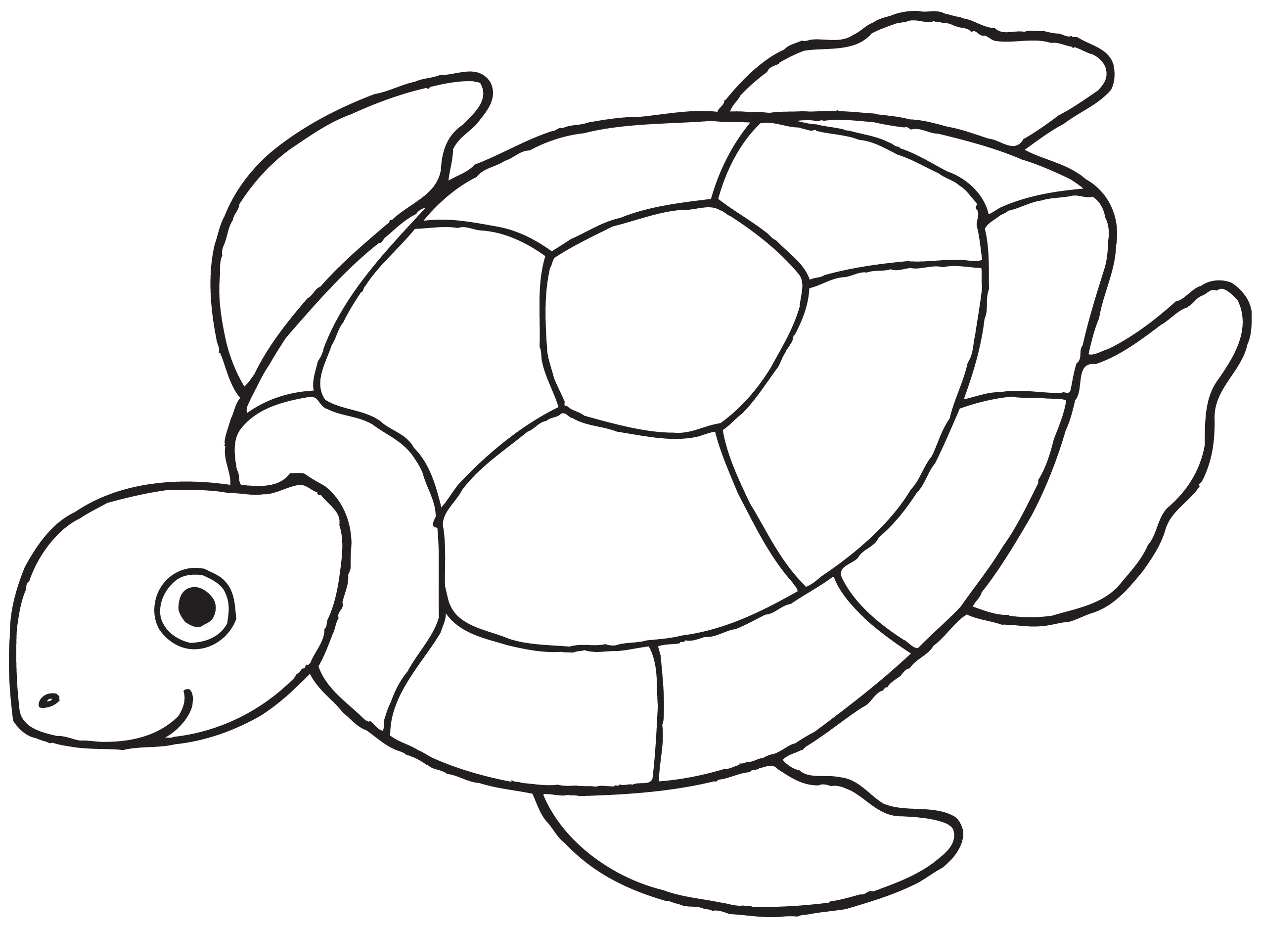 clipart turtle line art