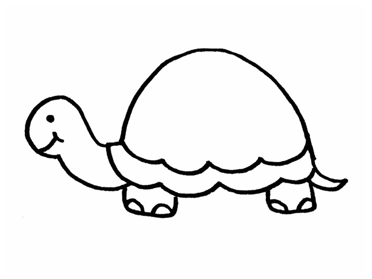 clipart turtle outline