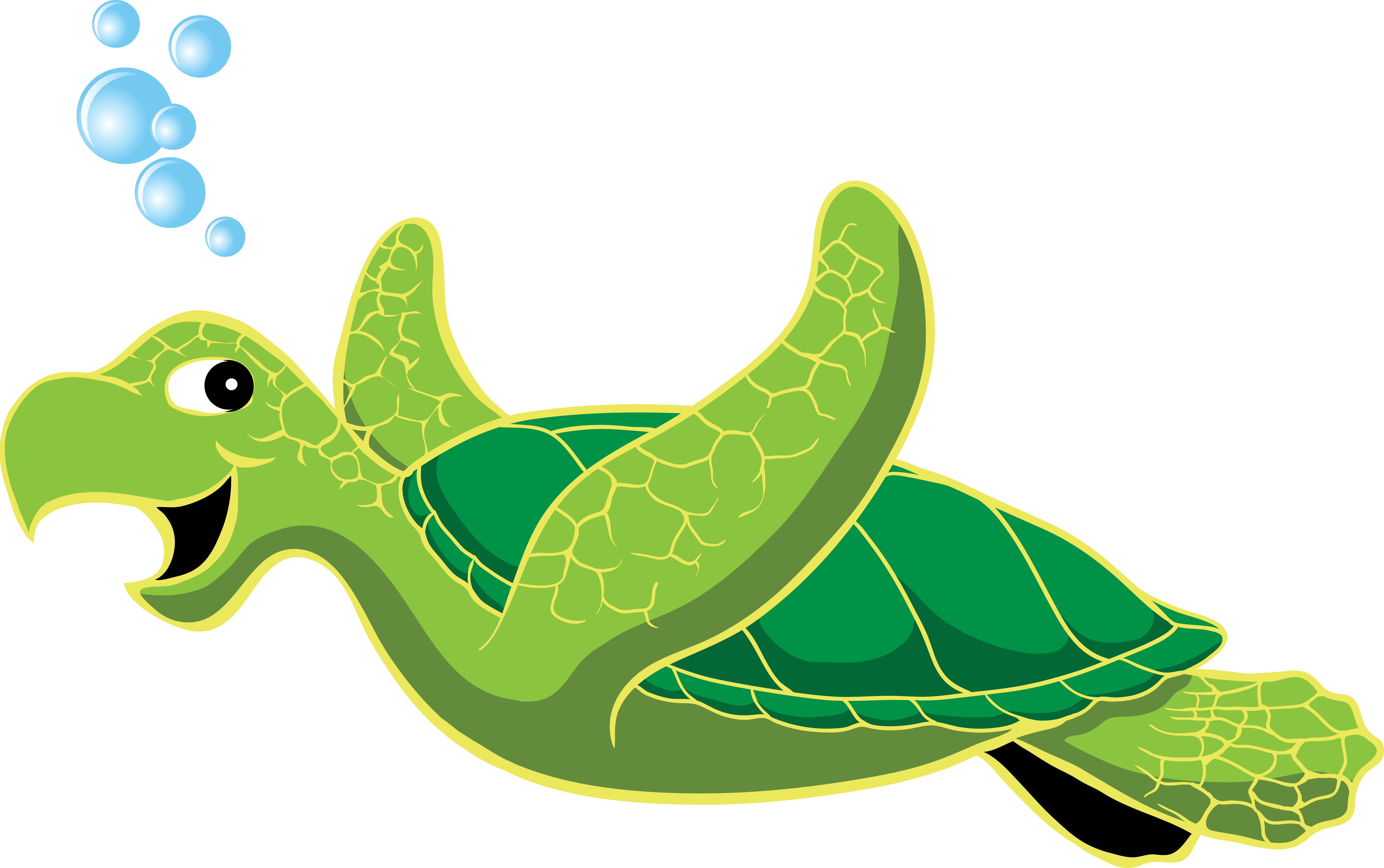 clipart turtle pagong