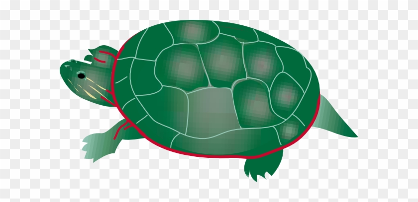 clipart turtle pond turtle