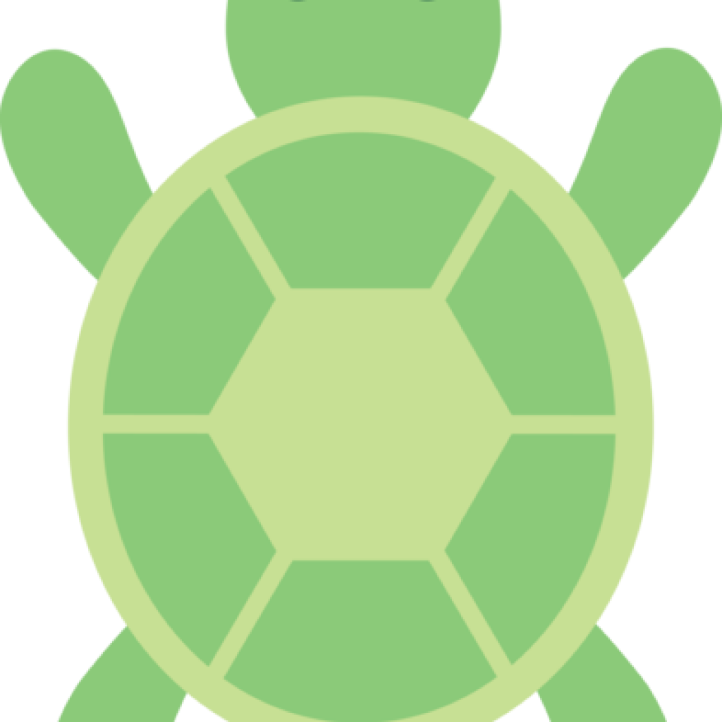 clipart turtle school