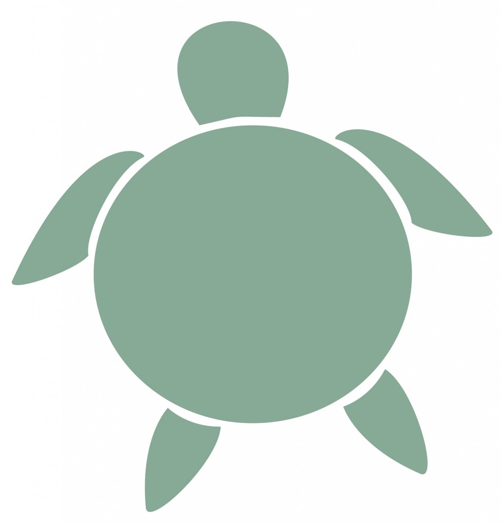 clipart turtle simple