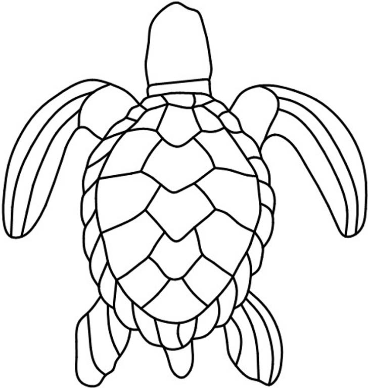 clipart turtle template