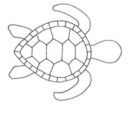 clipart turtle template