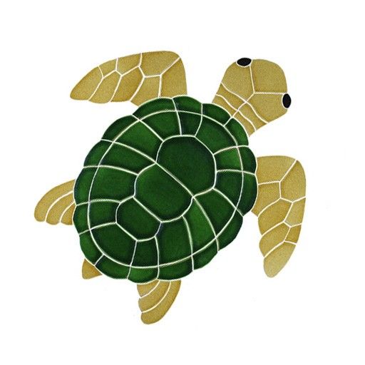 clipart turtle top