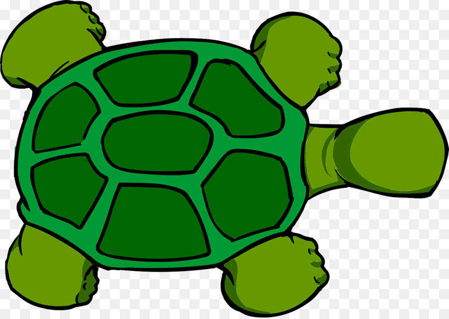 Download cartoon view reptile. Clipart turtle top