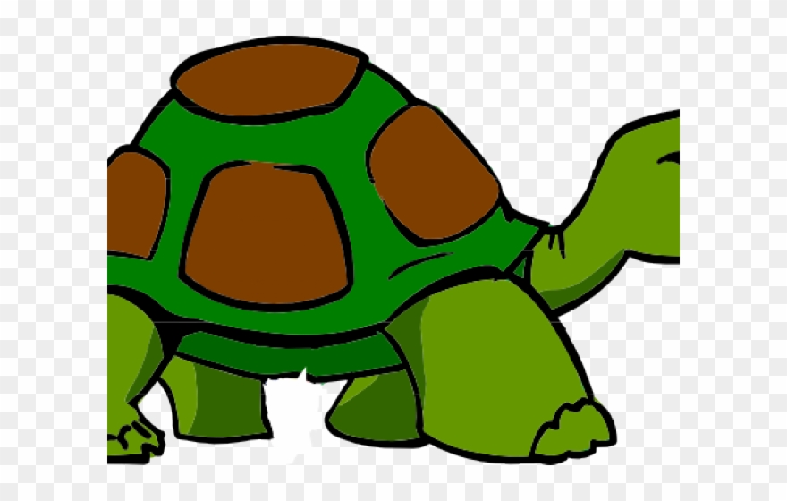 clipart turtle totoise