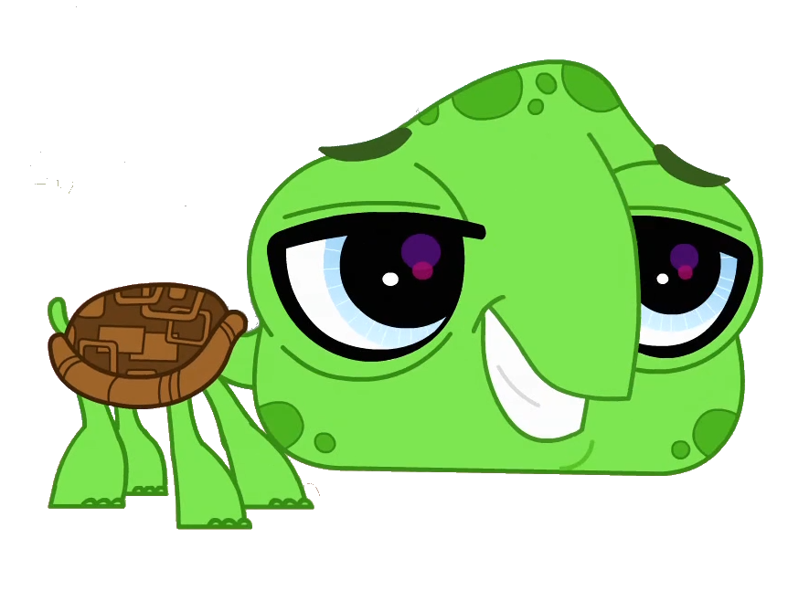 pets clipart green turtle