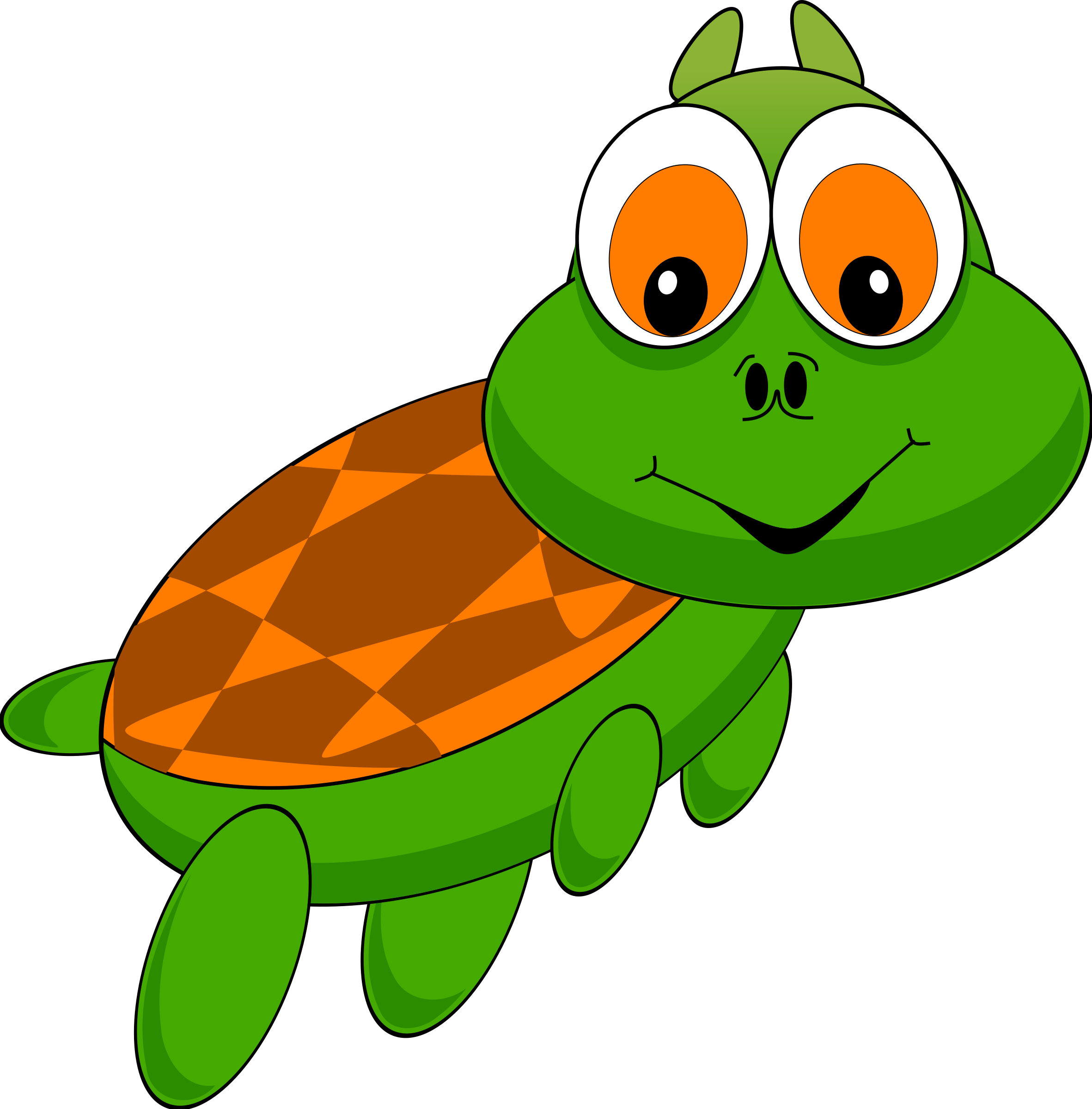 Shell sea turtle