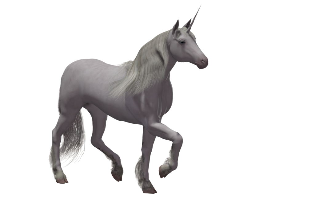Horses clipart unicorn. Png image purepng free