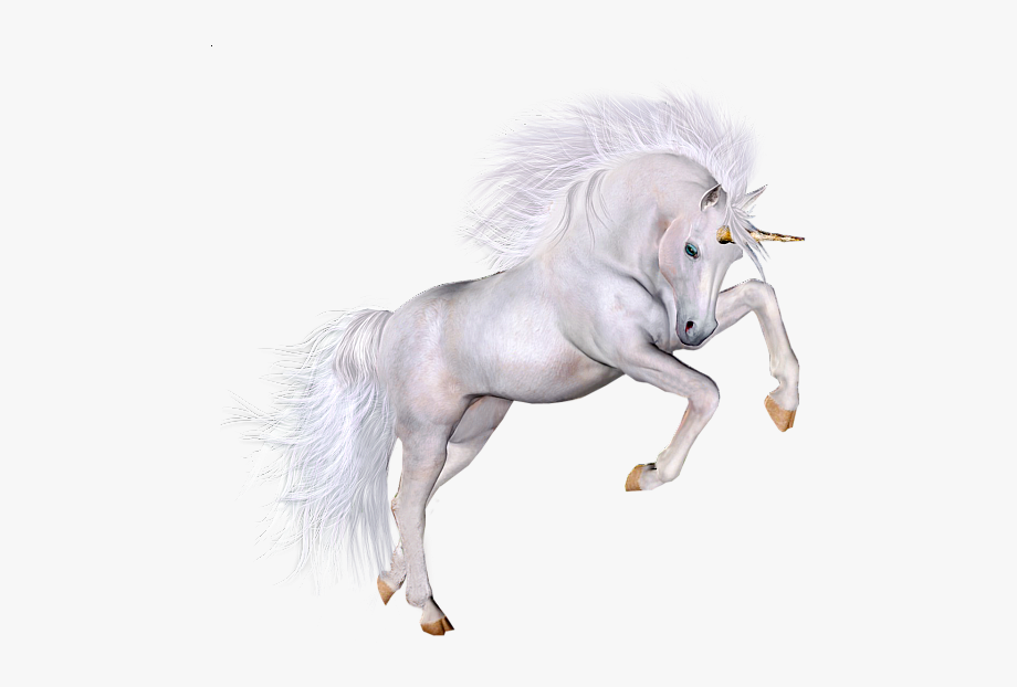 clipart unicorn real unicorn
