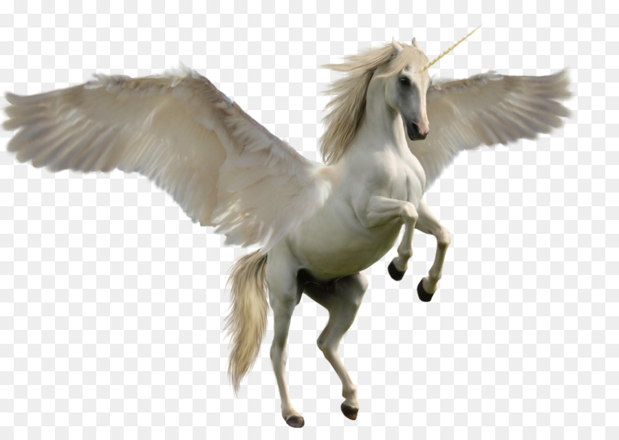 clipart unicorn real unicorn
