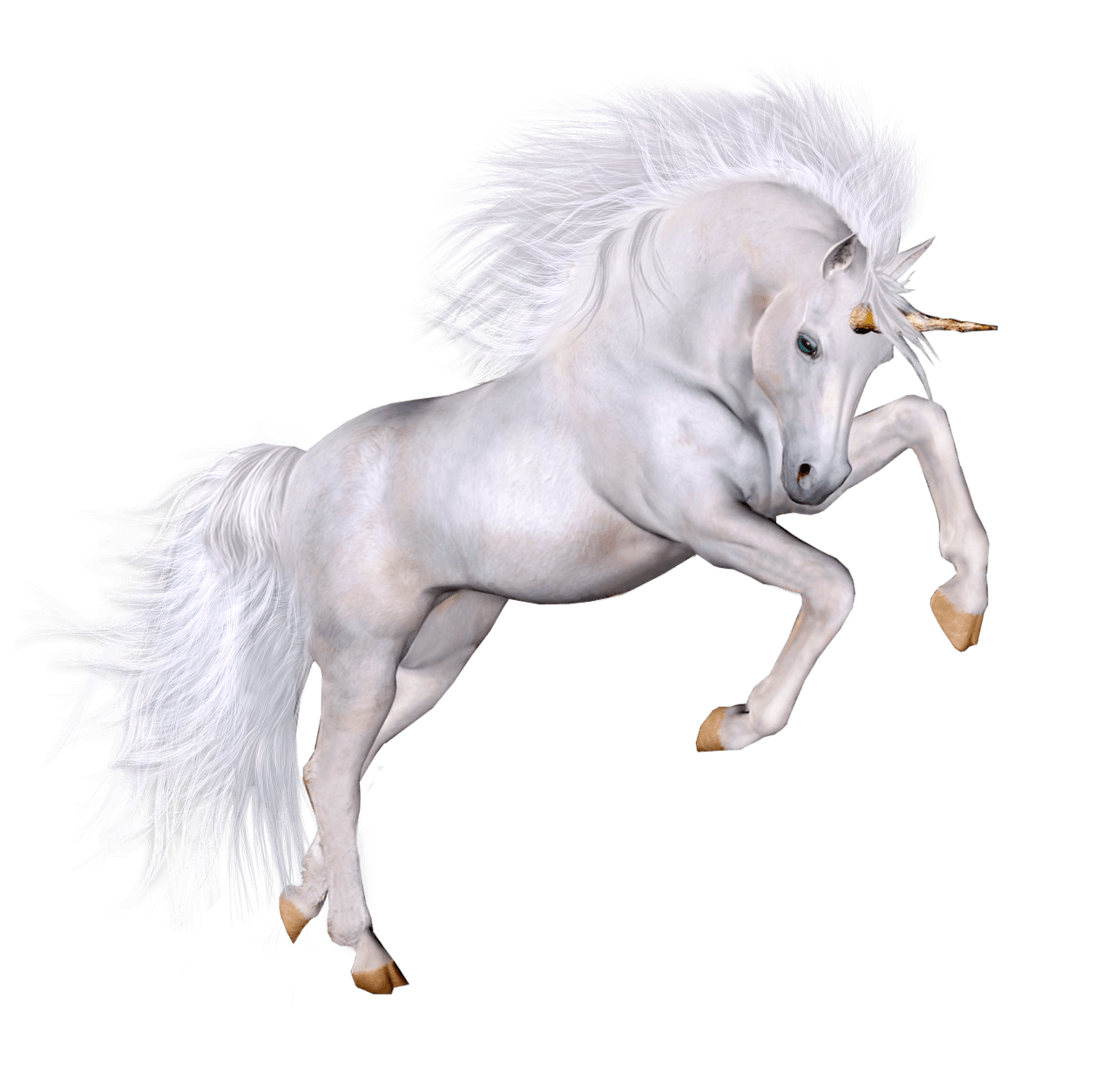 medieval clipart unicorn