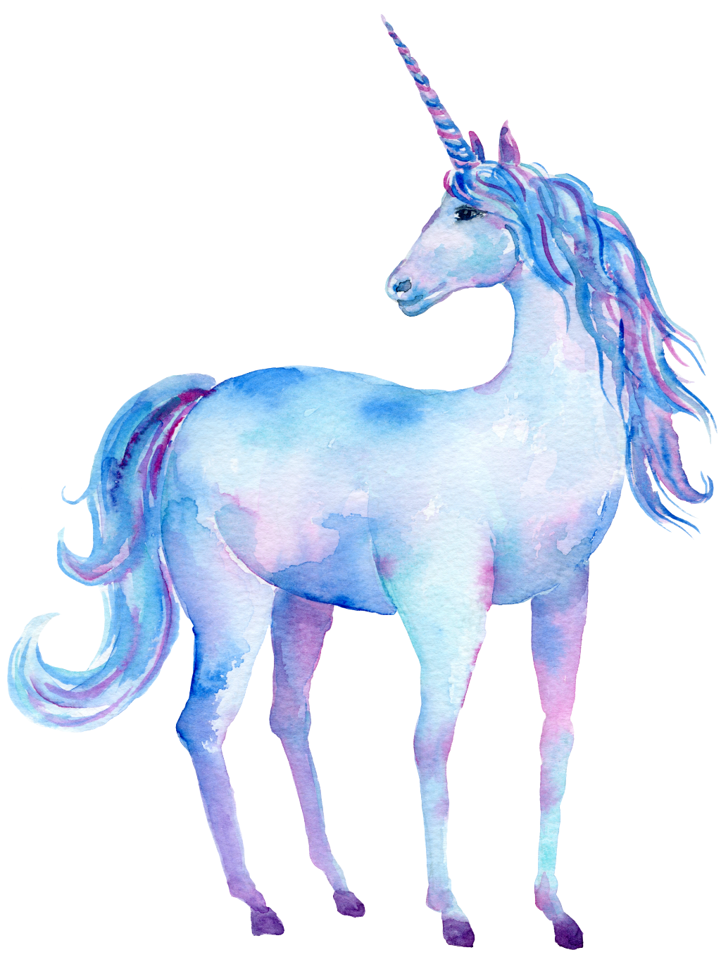 clipart unicorn watercolor