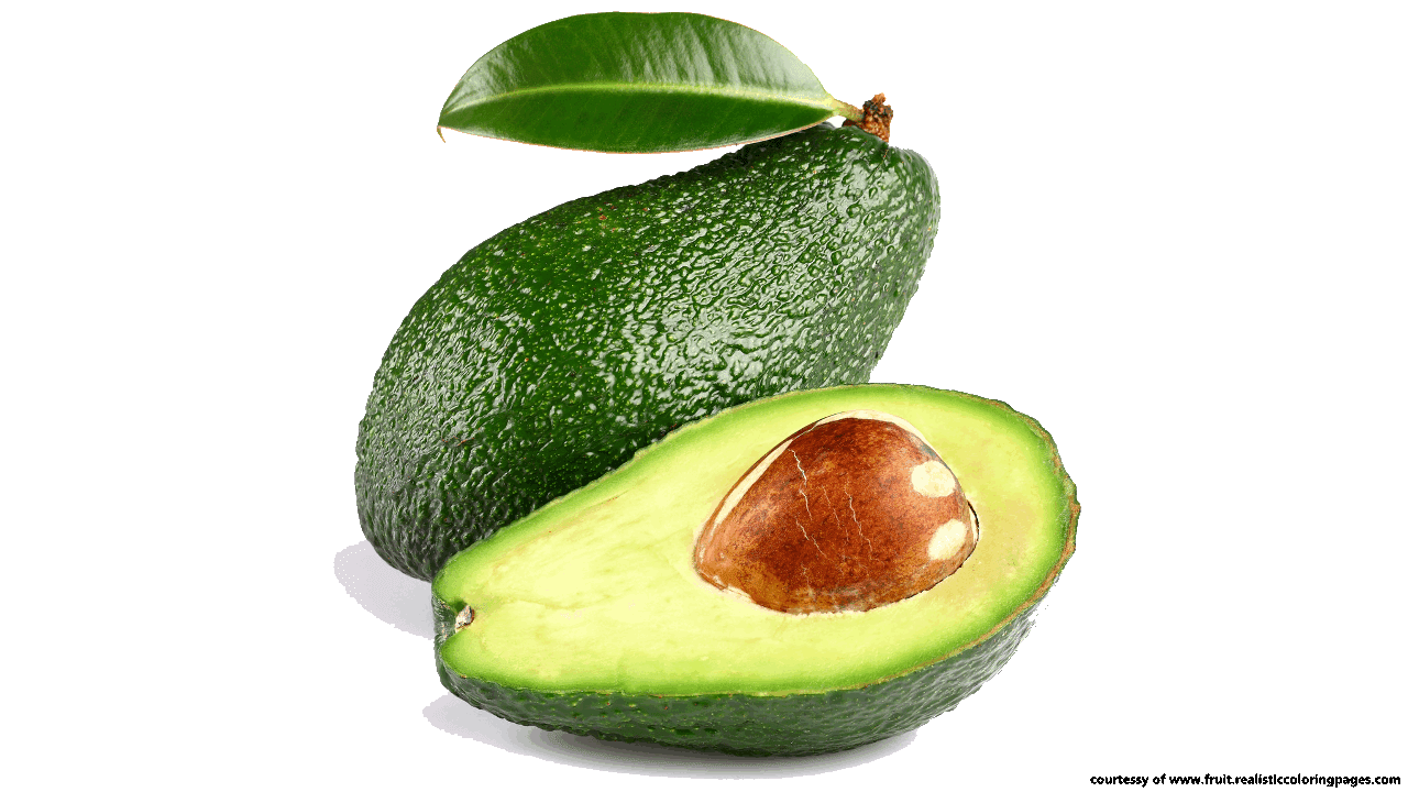 nuts clipart avocado