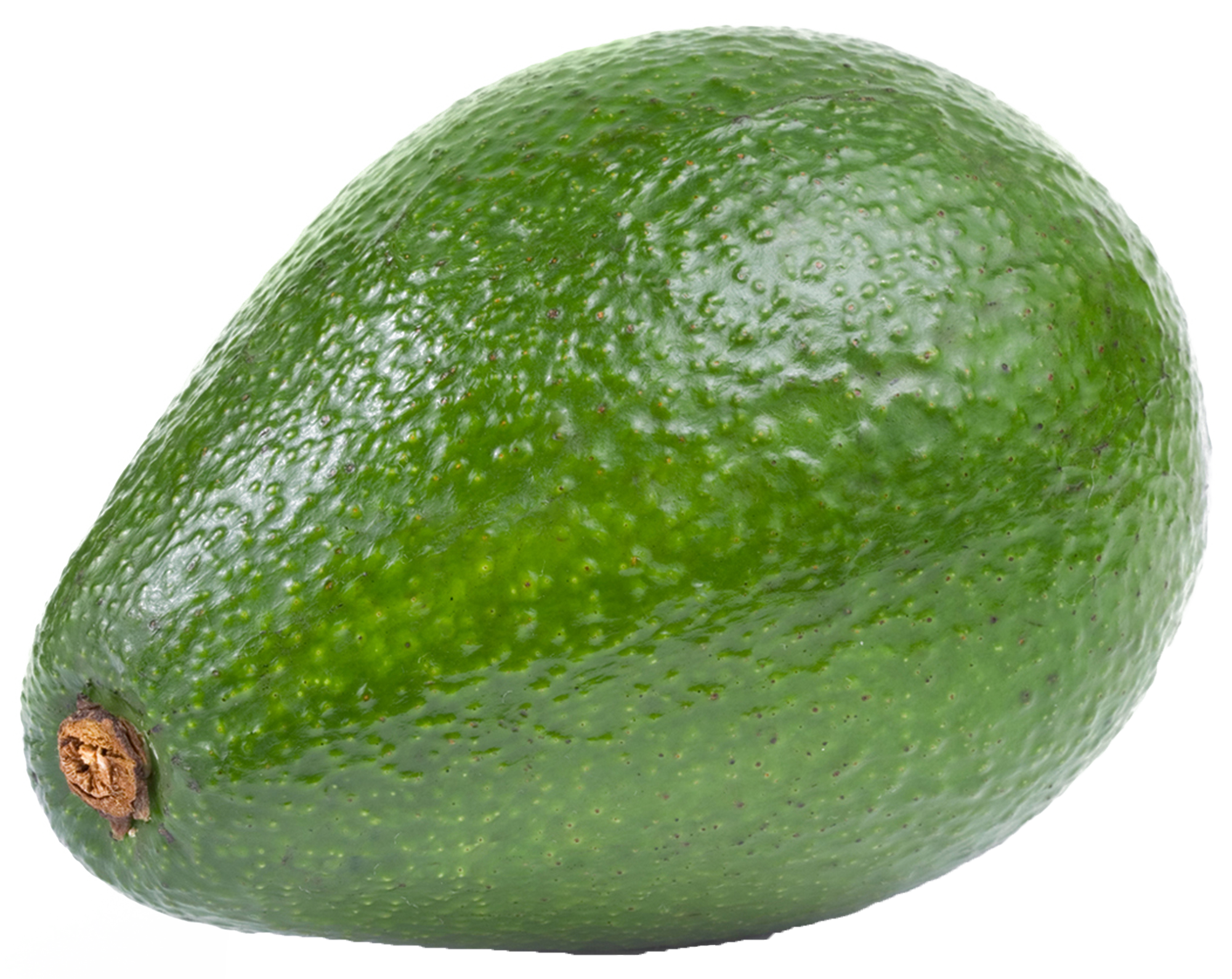 clipart vegetables avocado