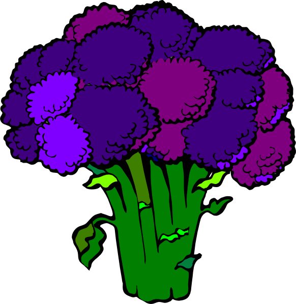 Bropcoli purple clip art. Clipart vegetables broccoli
