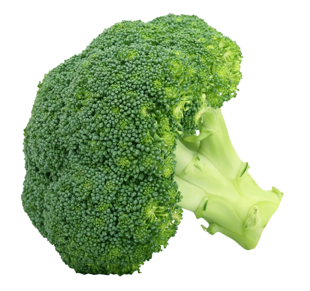 Clipart vegetables broccoli. Free png peoplepng com