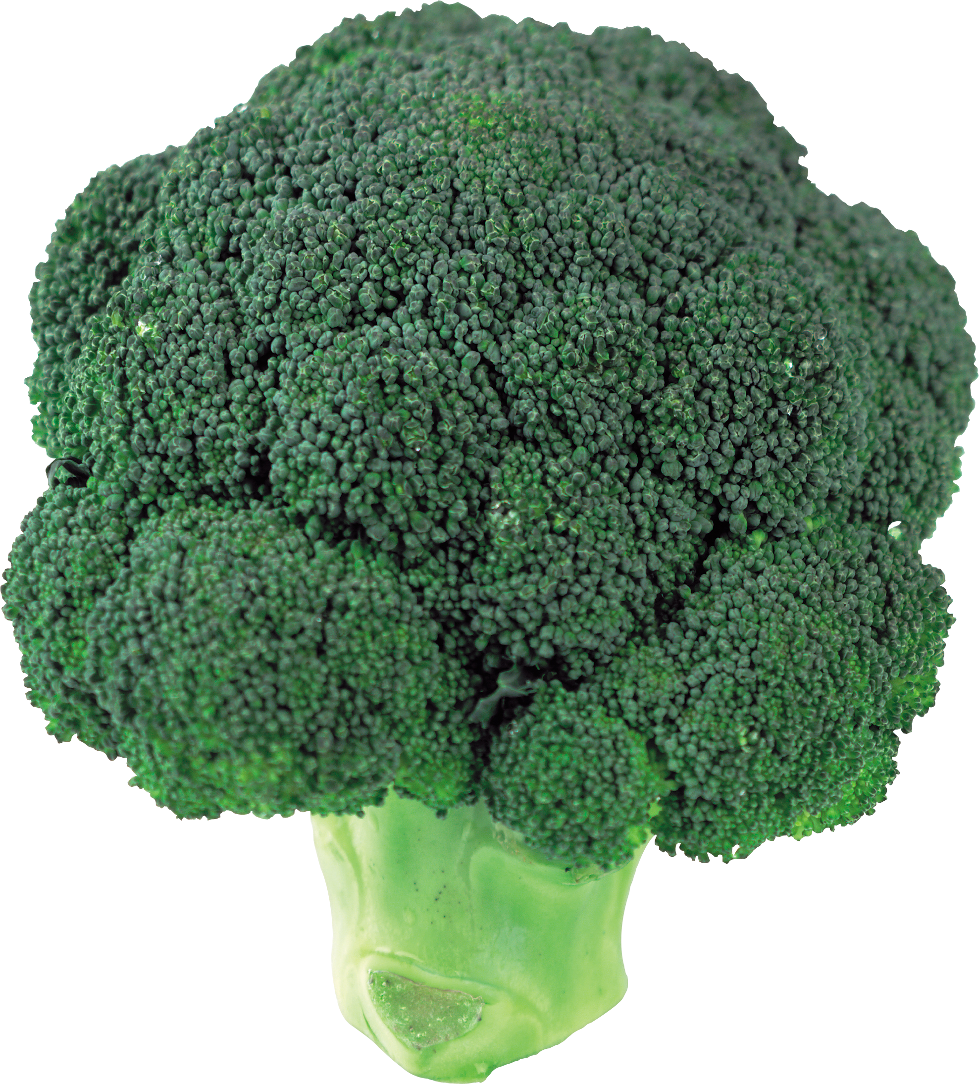Clipart vegetables broccoli. Png image purepng free