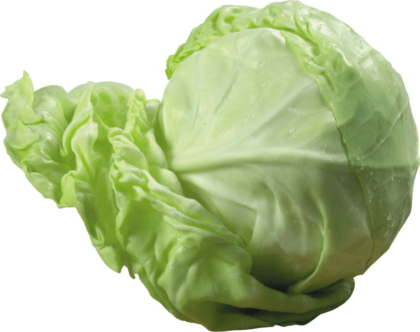 Png free images toppng. Clipart vegetables cabbage