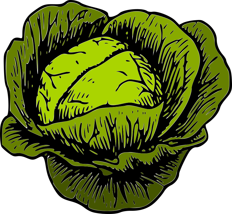 Green medium image png. Clipart vegetables cabbage